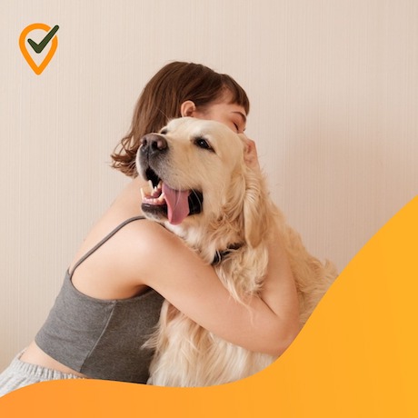 Desde hace ya mucho tiempo que las mascotas se han ganado un lugar muy importante en nuestros corazones. Son mucho más que una compañía o animal que defiende nuestro hogar. Actualmente, son un miembro más de la familia y como tal merecen toda nuestra atención.